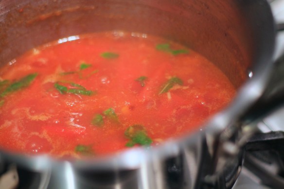 Tomato Broth